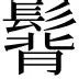 热传：纳达尔意甲20队主帅全的简单介绍